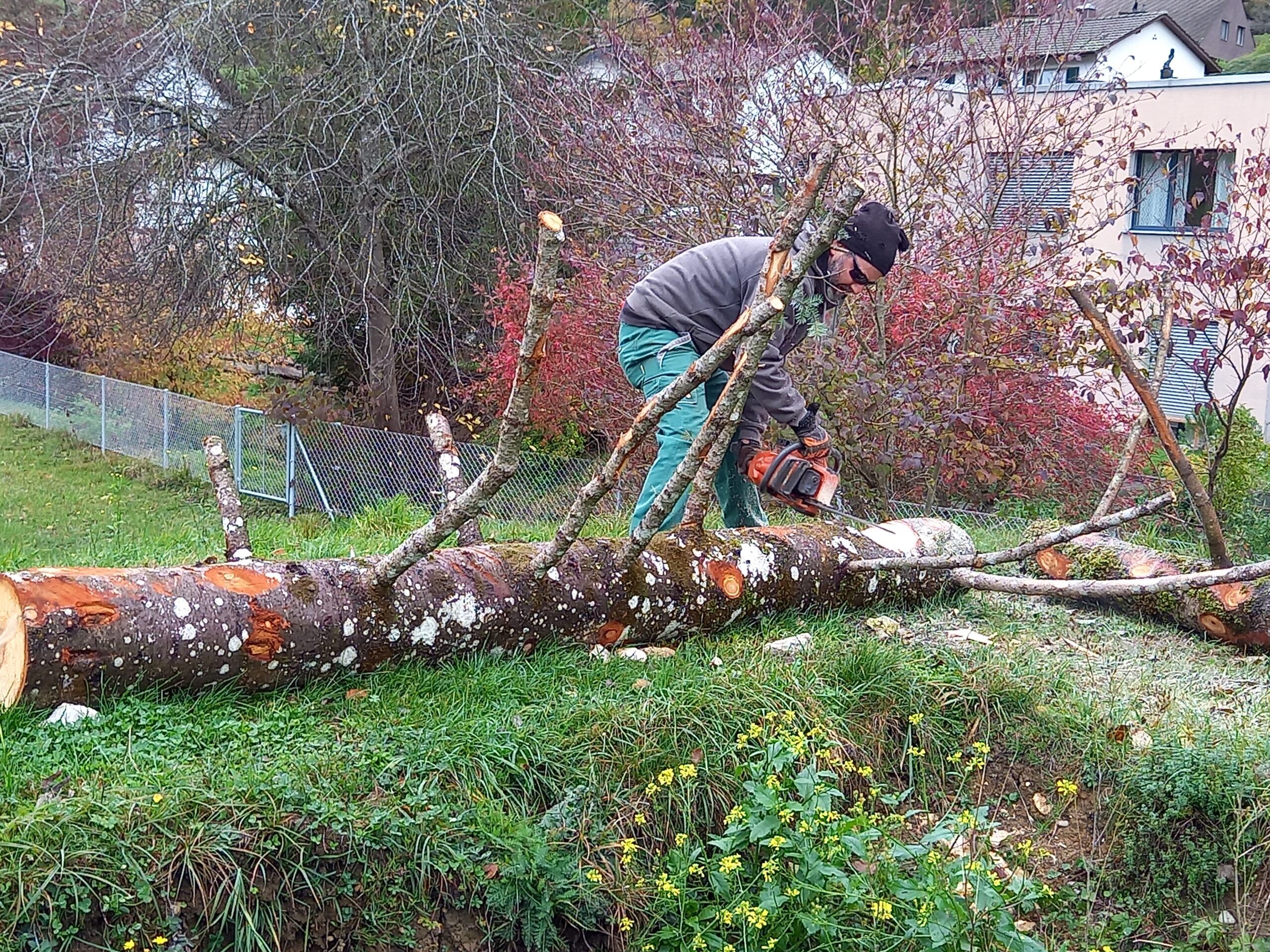 Pflanzmorgen Schule Holderbank
