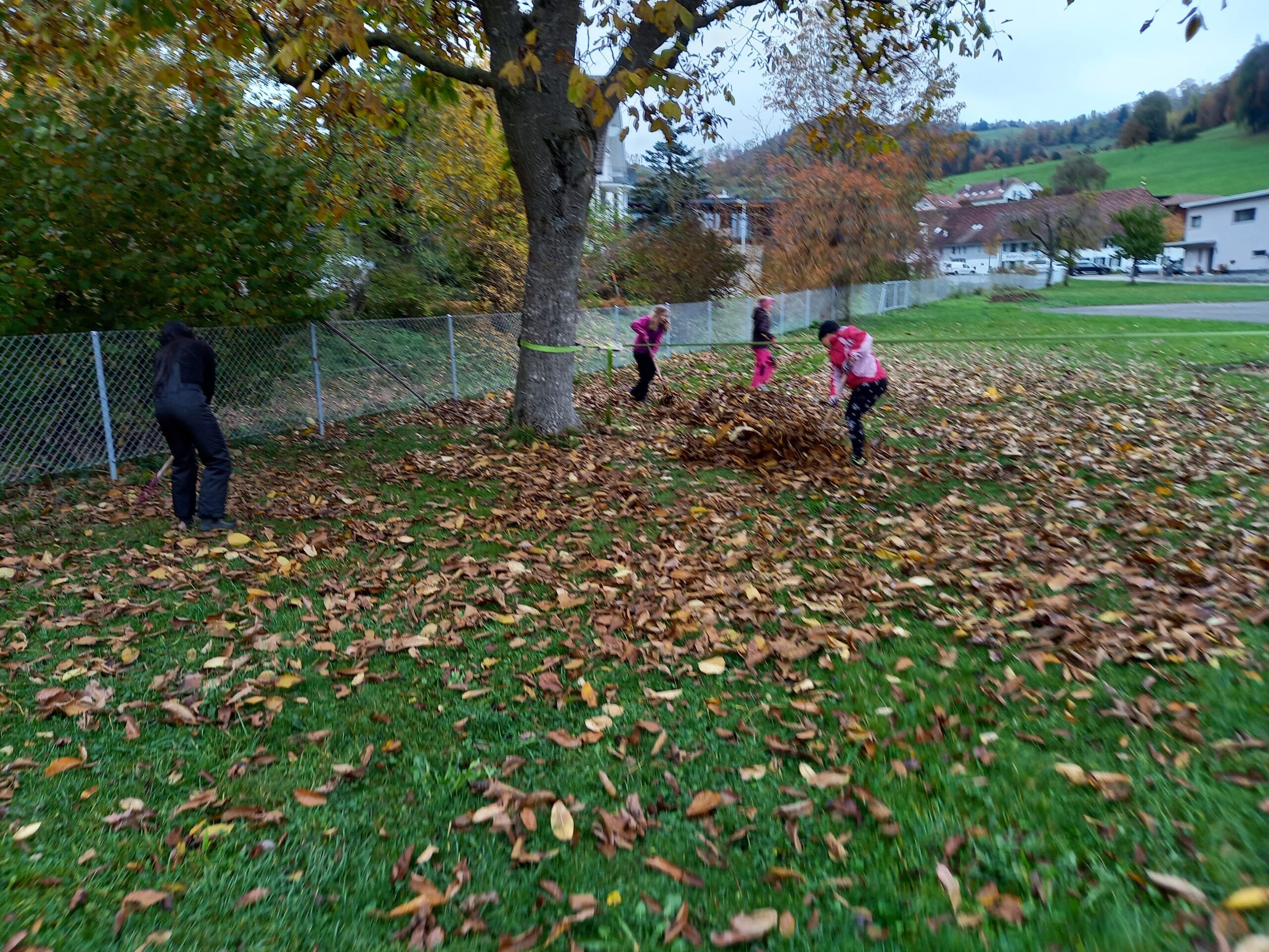 Pflanzmorgen Schule Holderbank