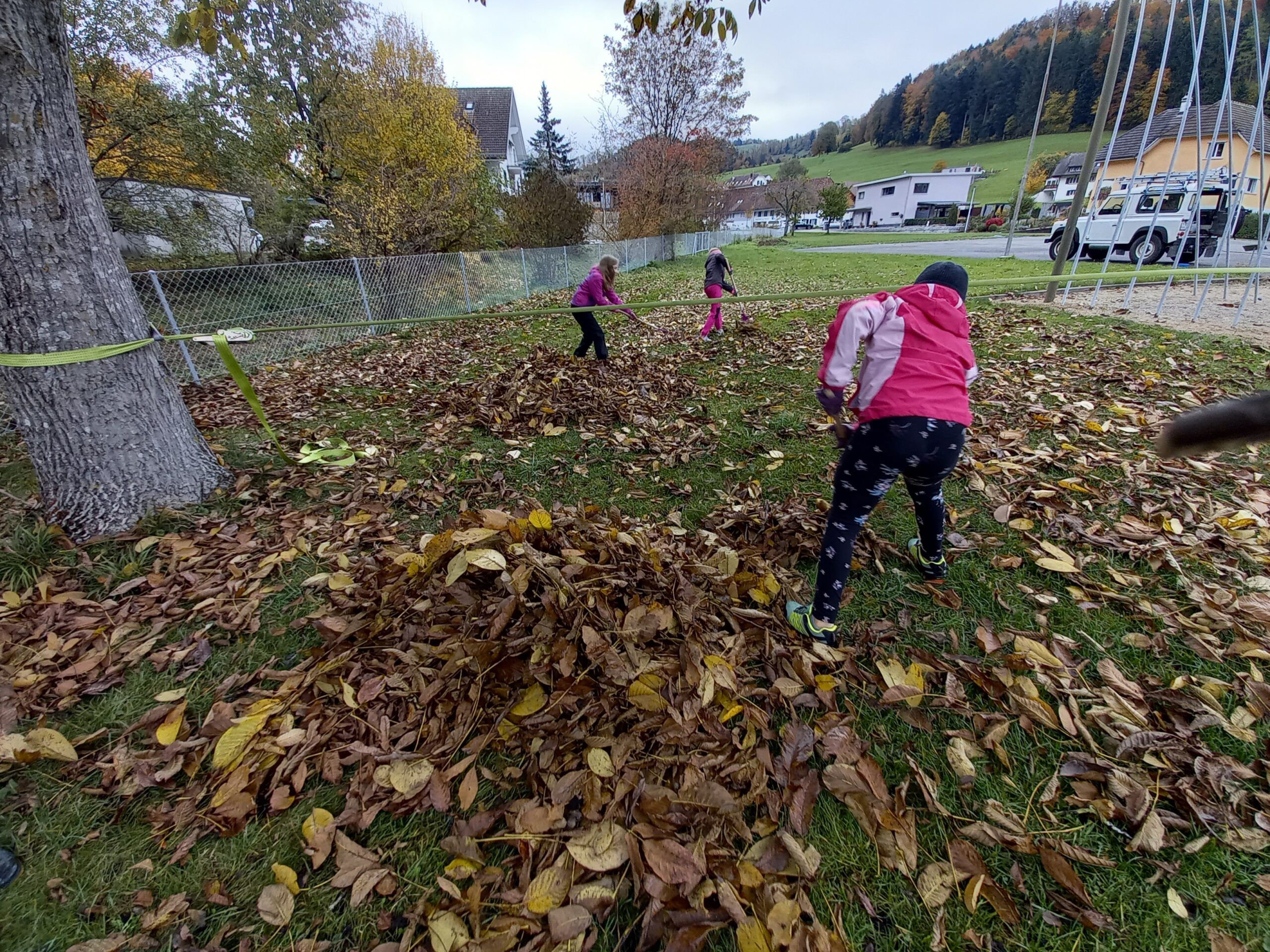 Pflanzmorgen Schule Holderbank