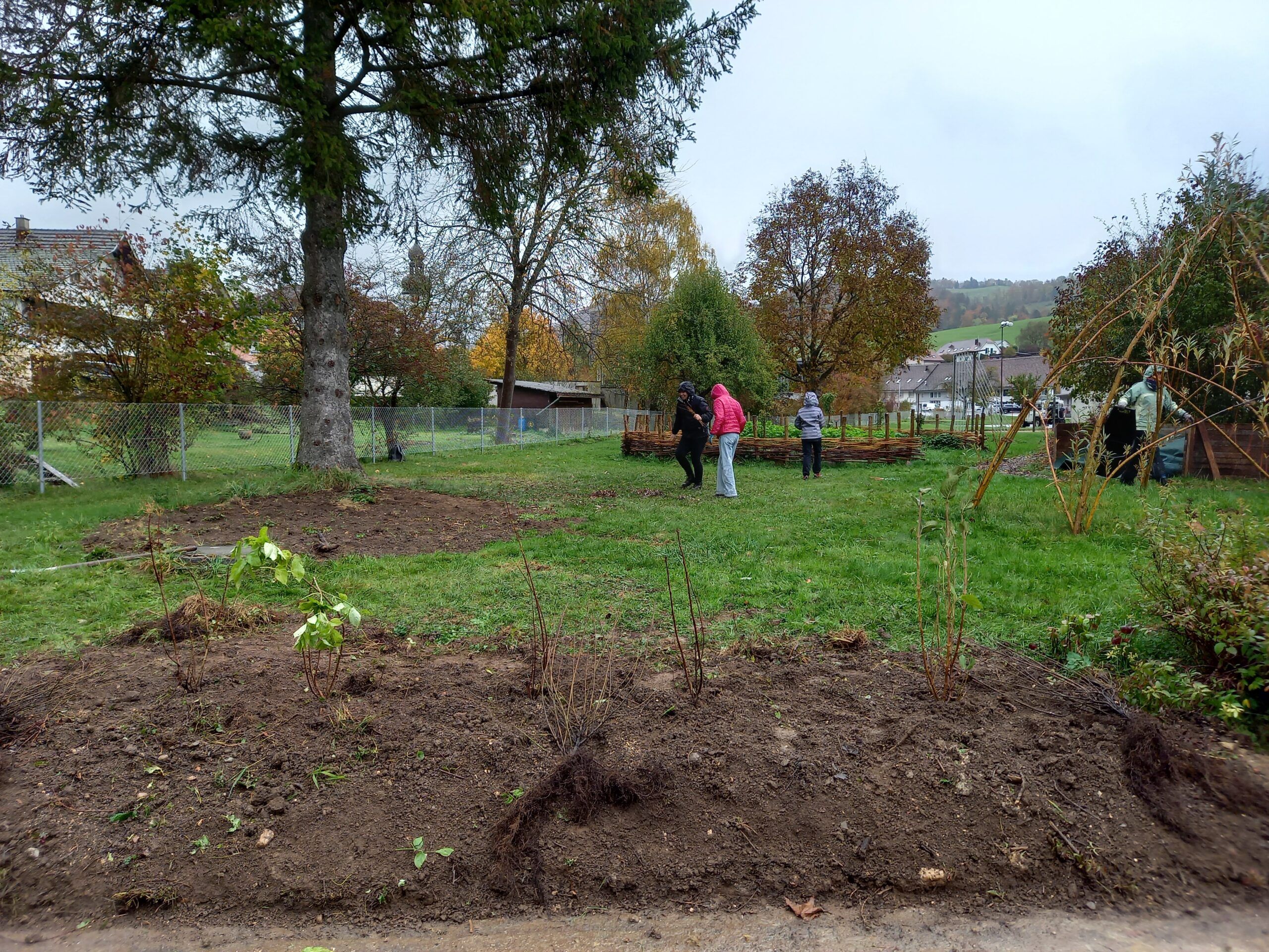 Pflanzmorgen Schule Holderbank