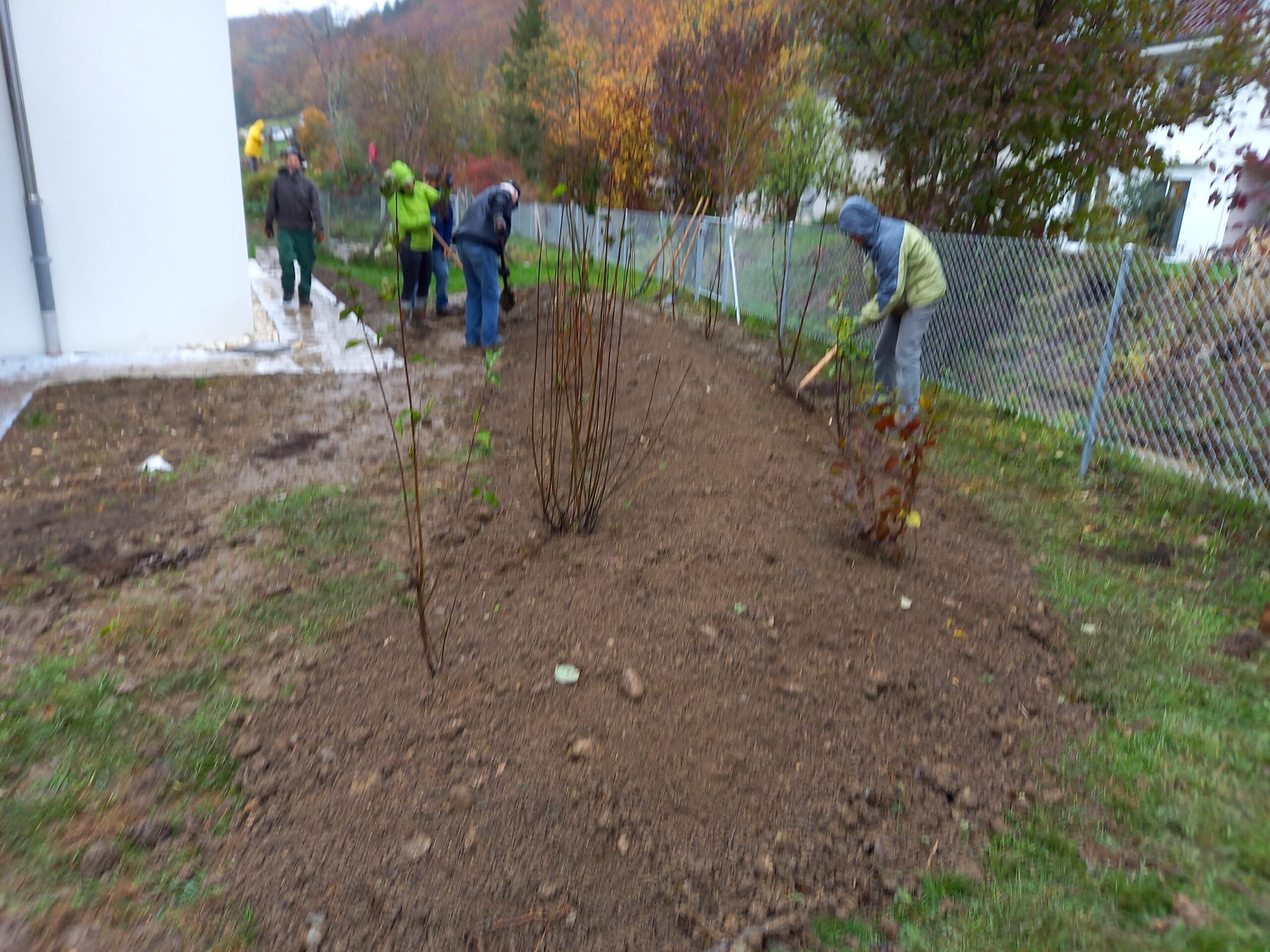 Pflanzmorgen Schule Holderbank