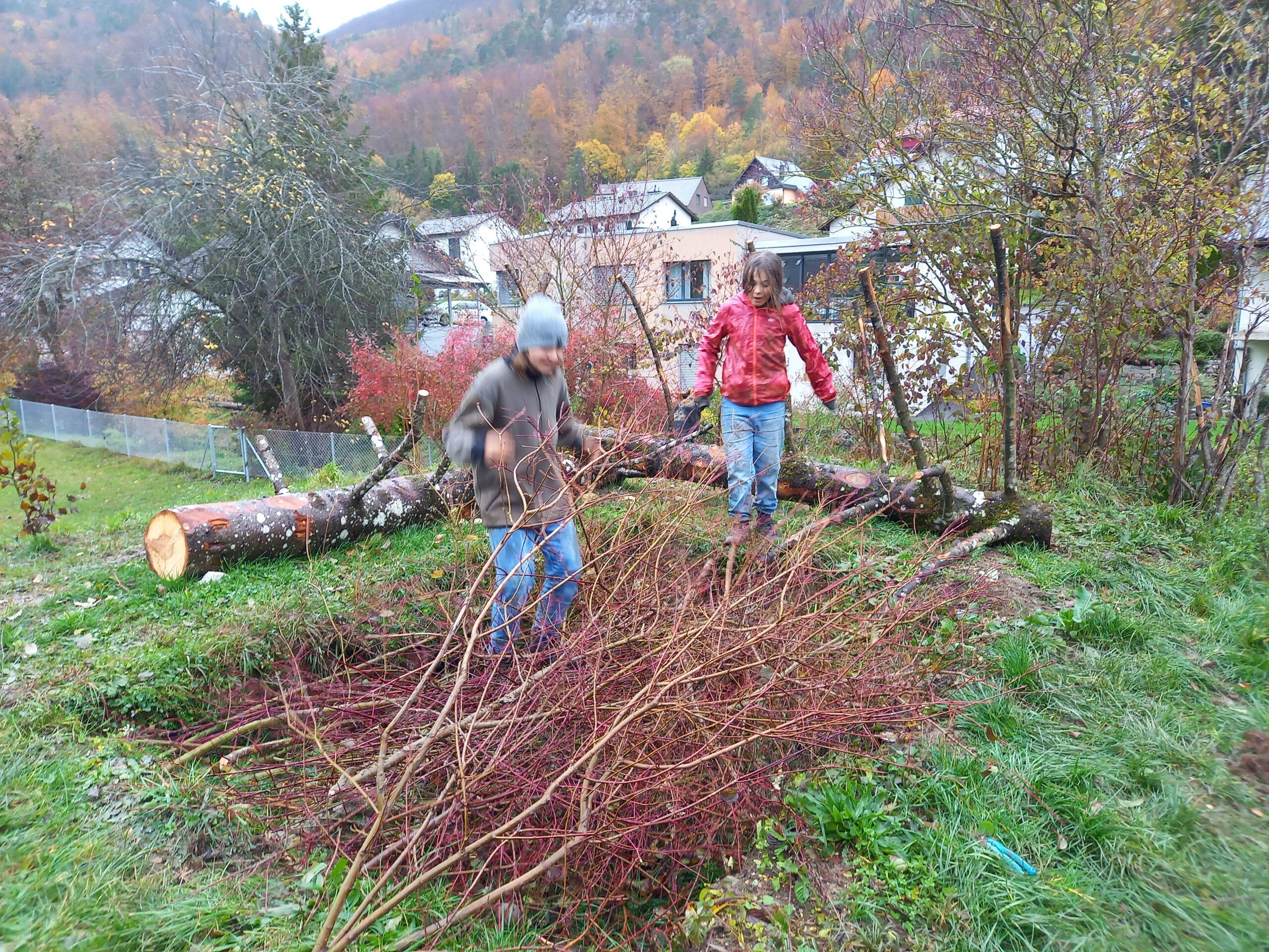 Pflanzmorgen Schule Holderbank