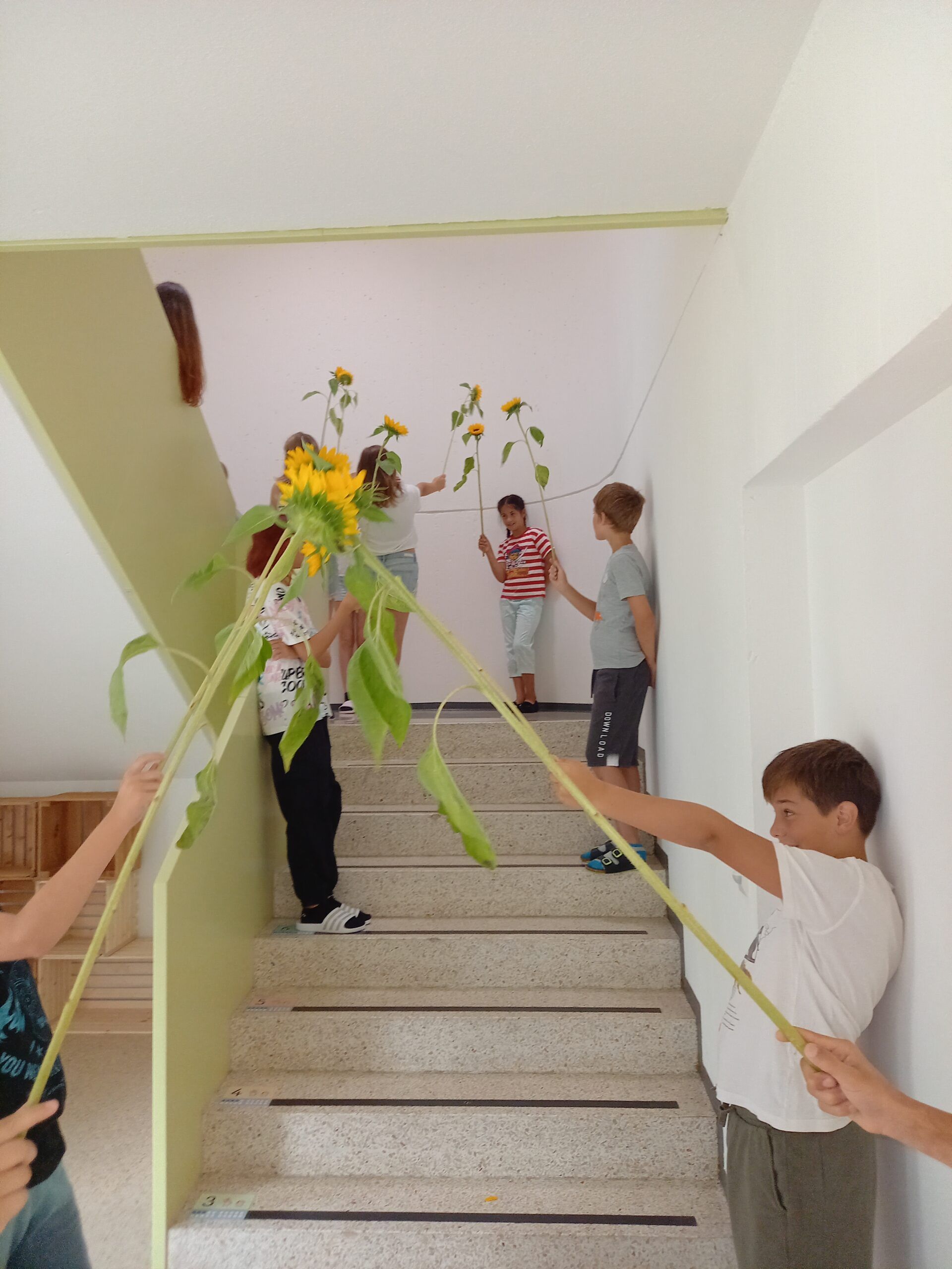 Schuljahresstart Holderbank