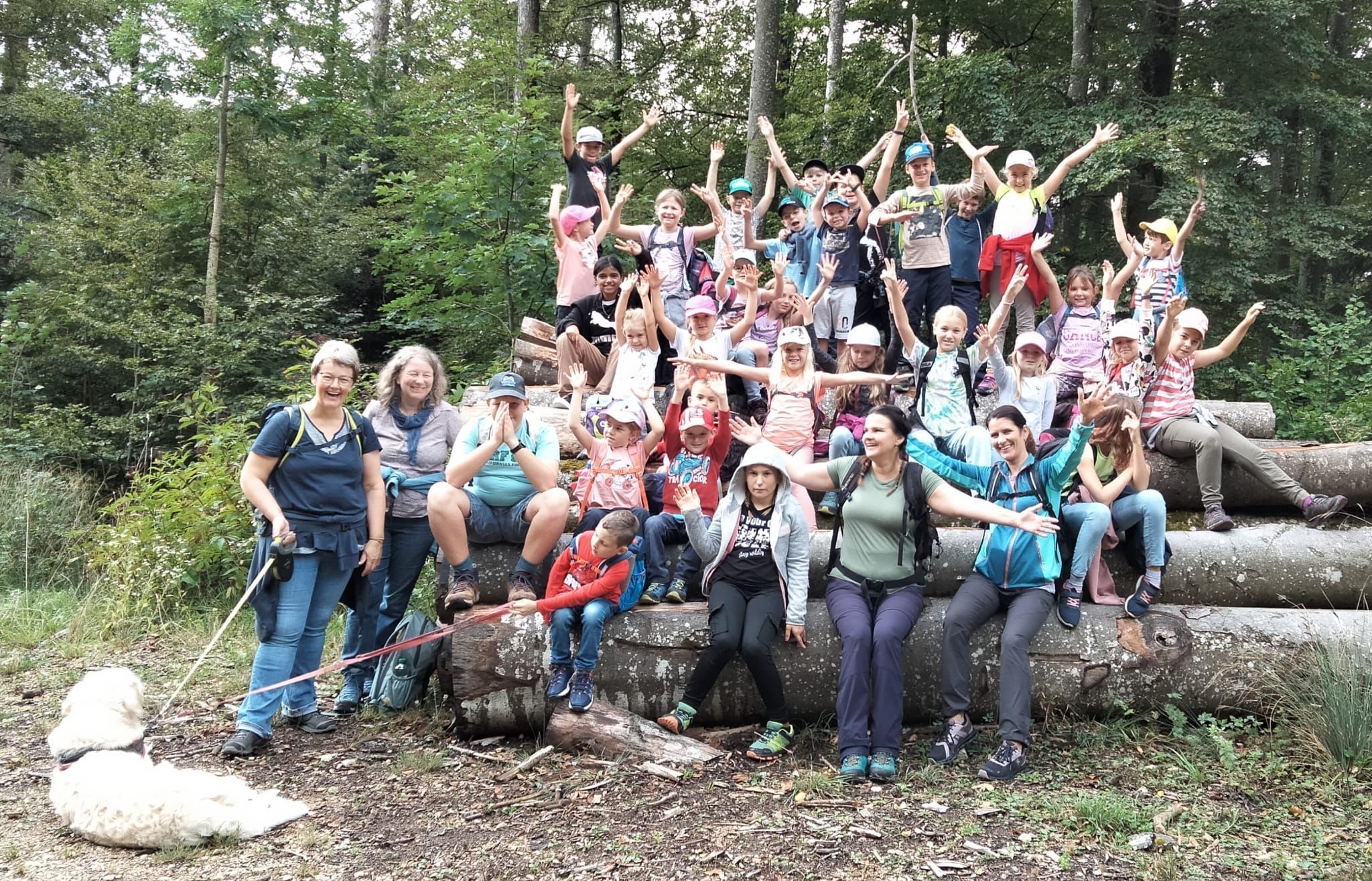 Herbstwanderung Schule Holderbank