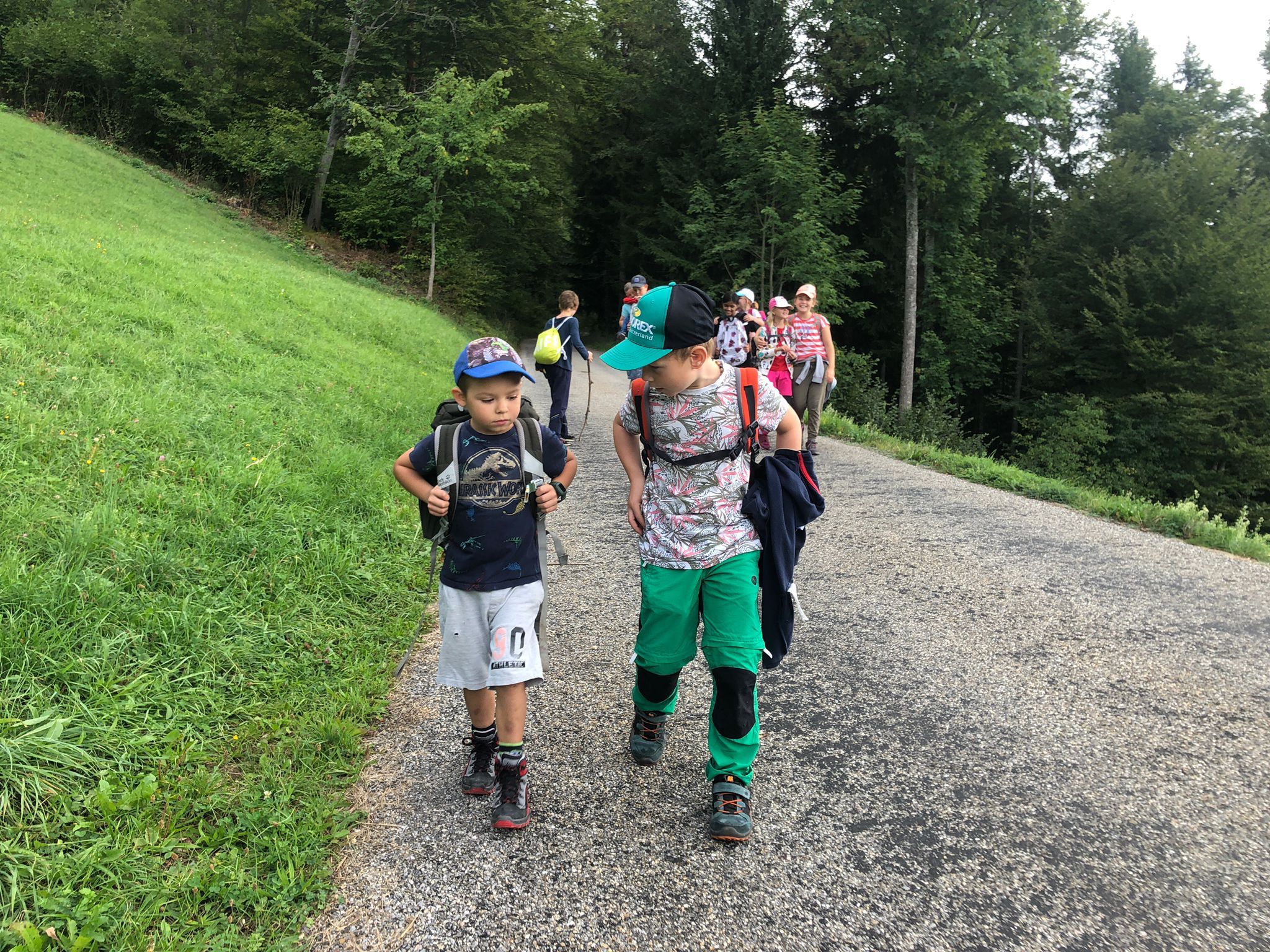 Herbstwanderung Schule Holderbank