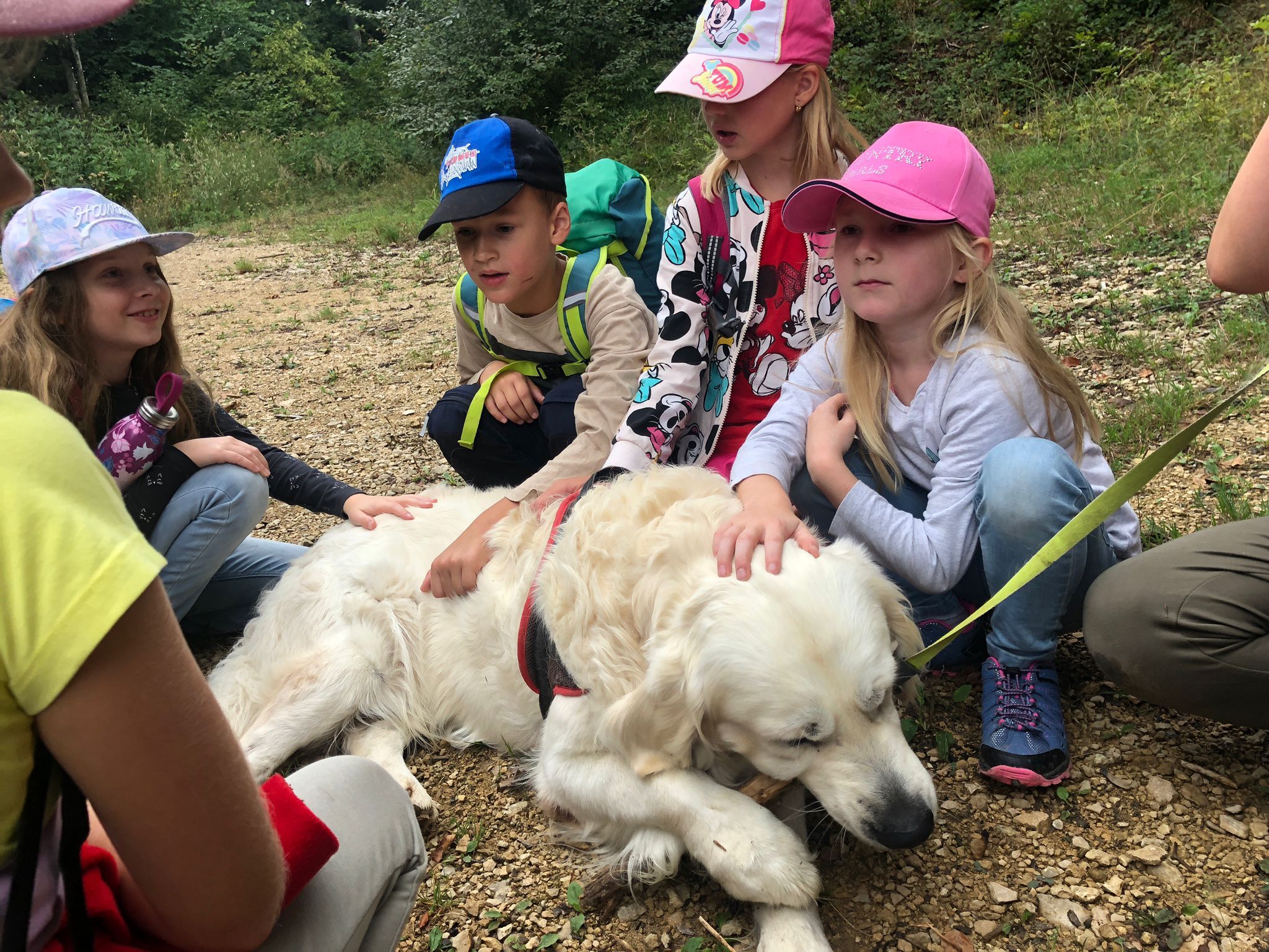 Herbstwanderung Schule Holderbank