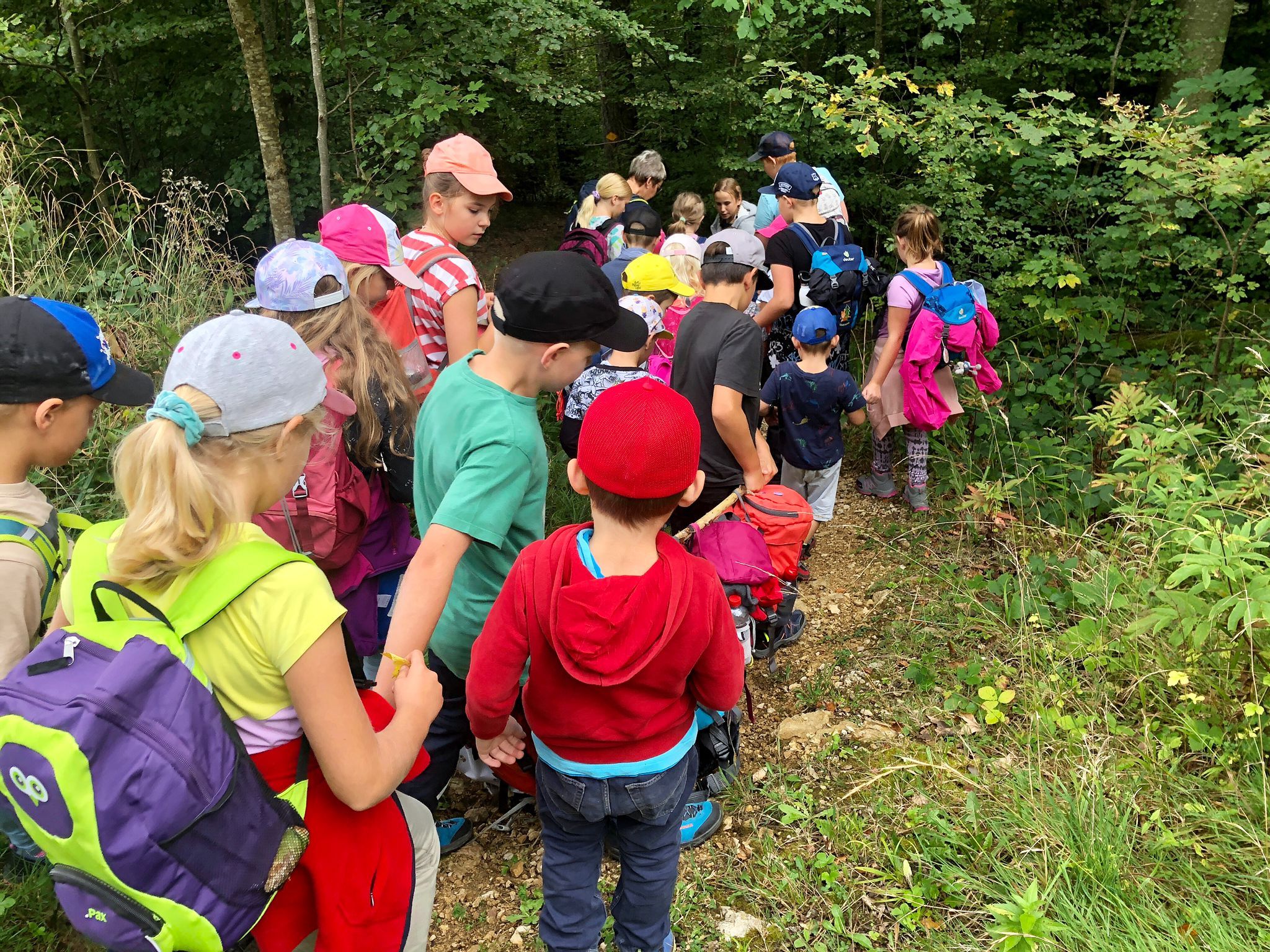 Herbstwanderung Schule Holderbank