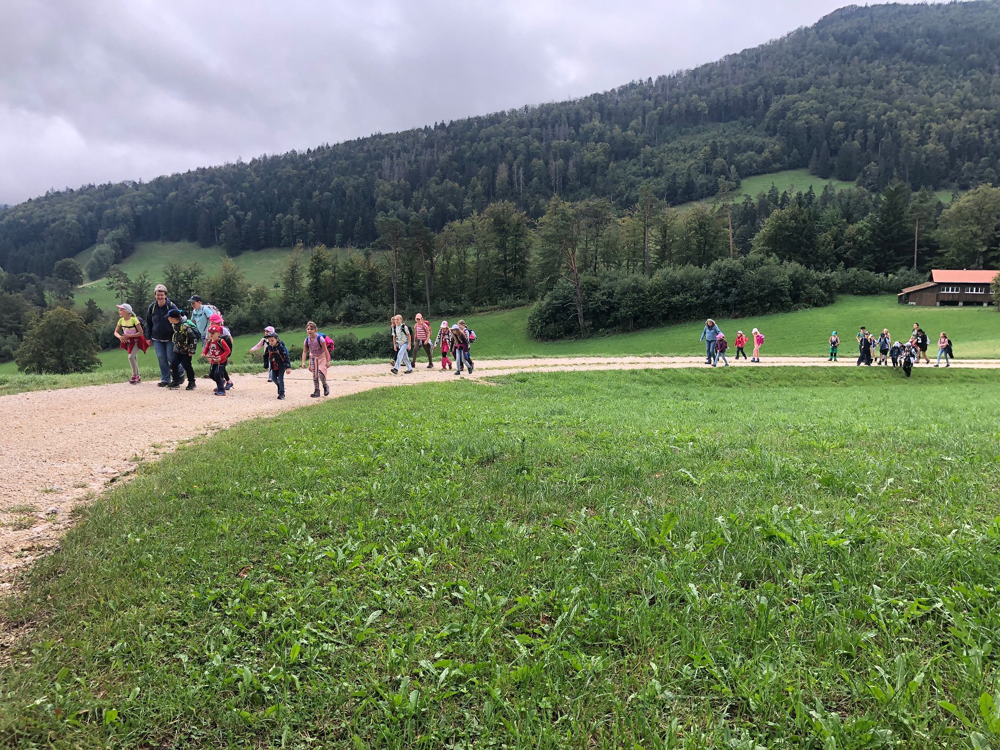 Herbstwanderung Schule Holderbank