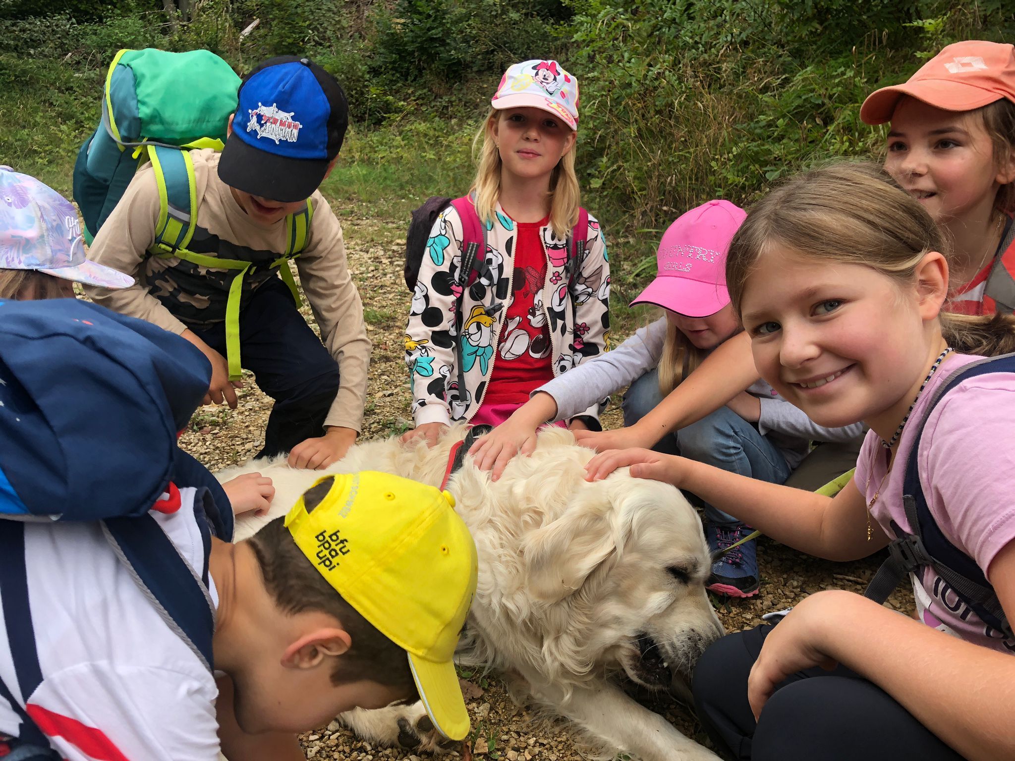 Herbstwanderung Schule Holderbank