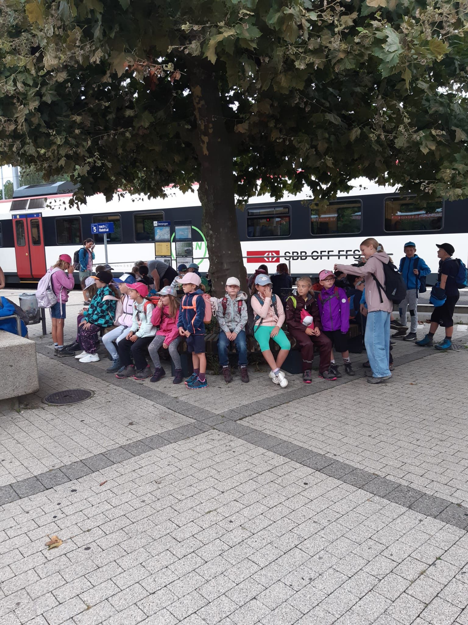 Waldtage Schule Holderbank