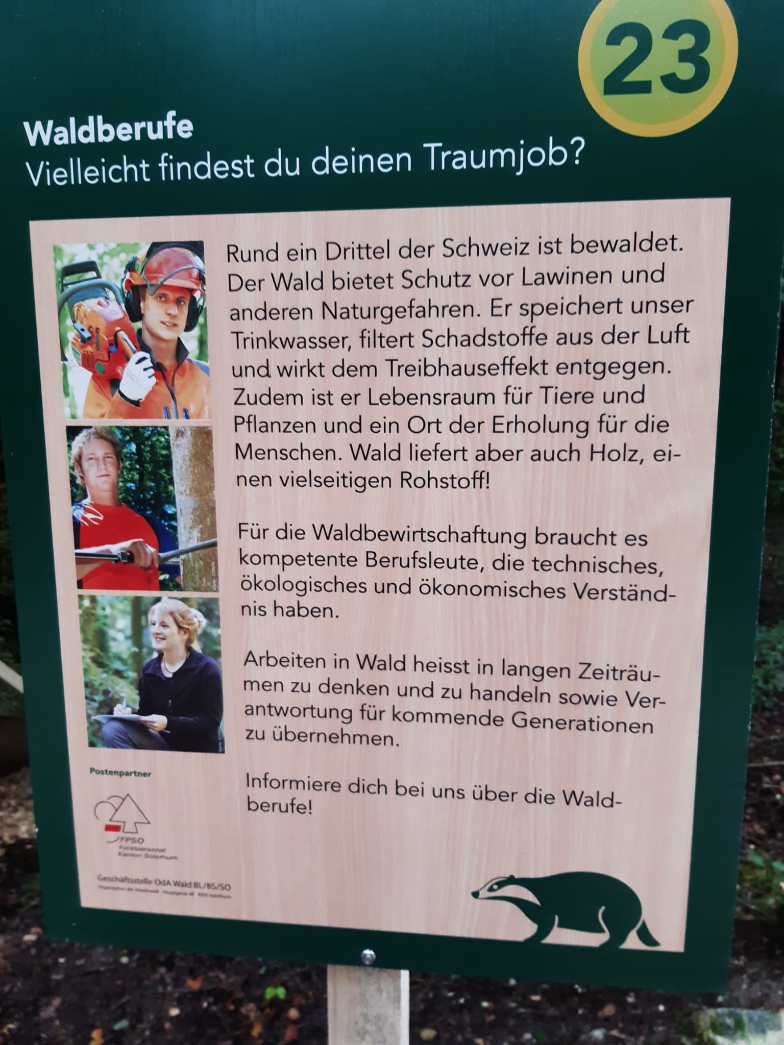 Waldtage Schule Holderbank