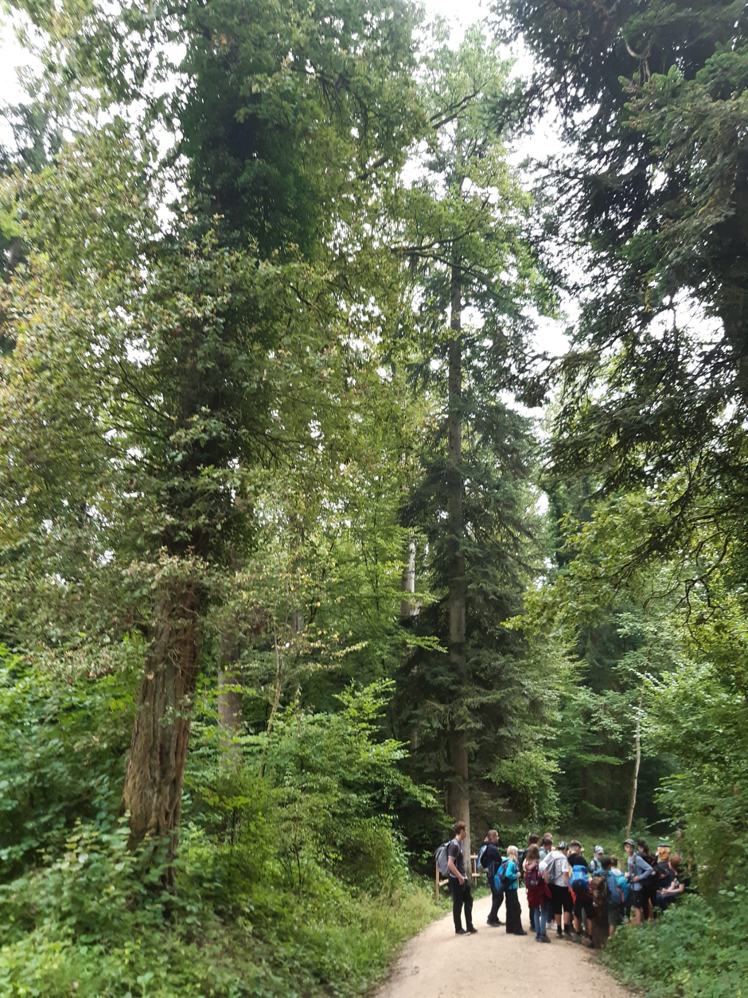 Waldtage Schule Holderbank