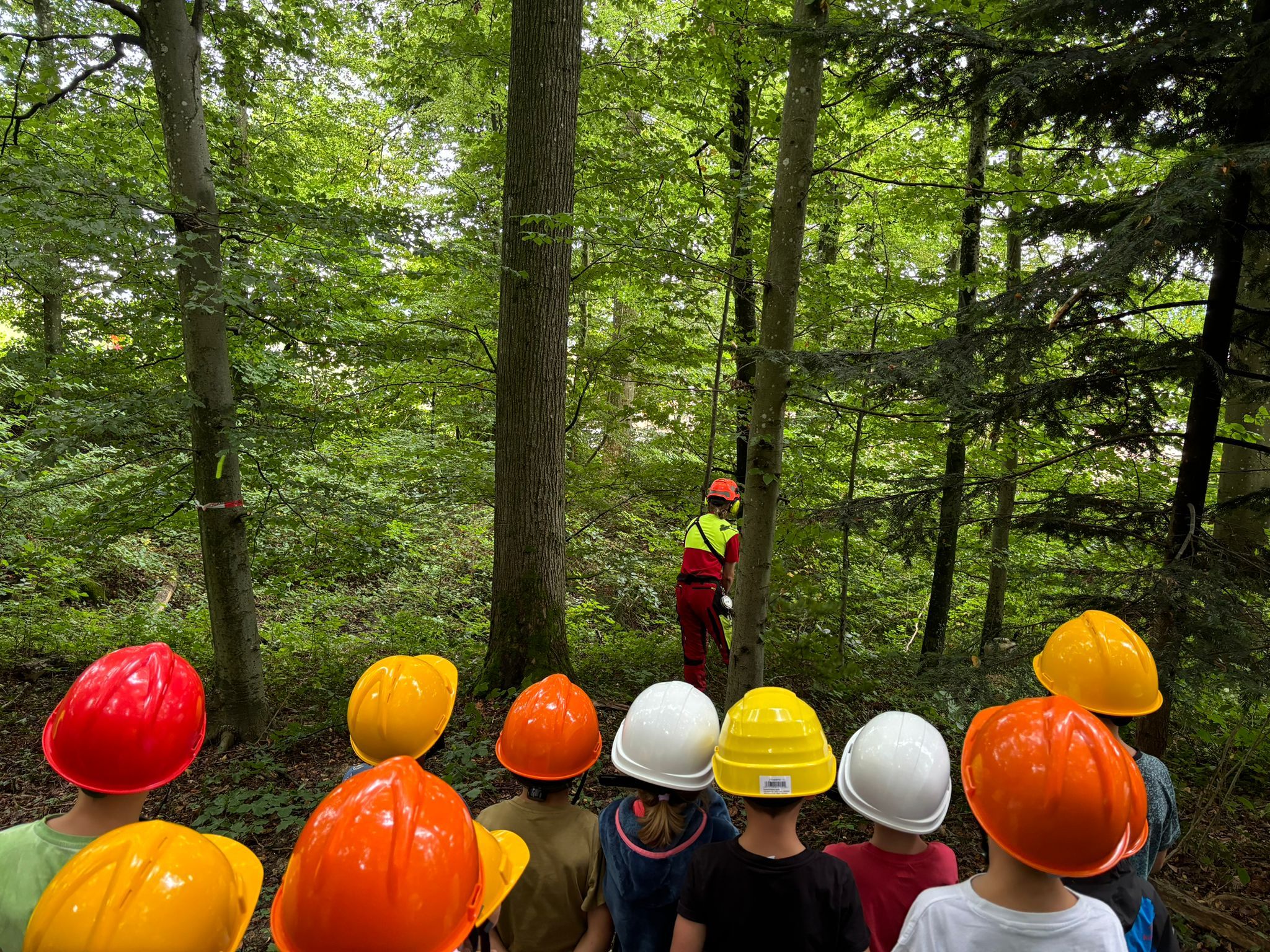 Waldtage Schule Holderbank