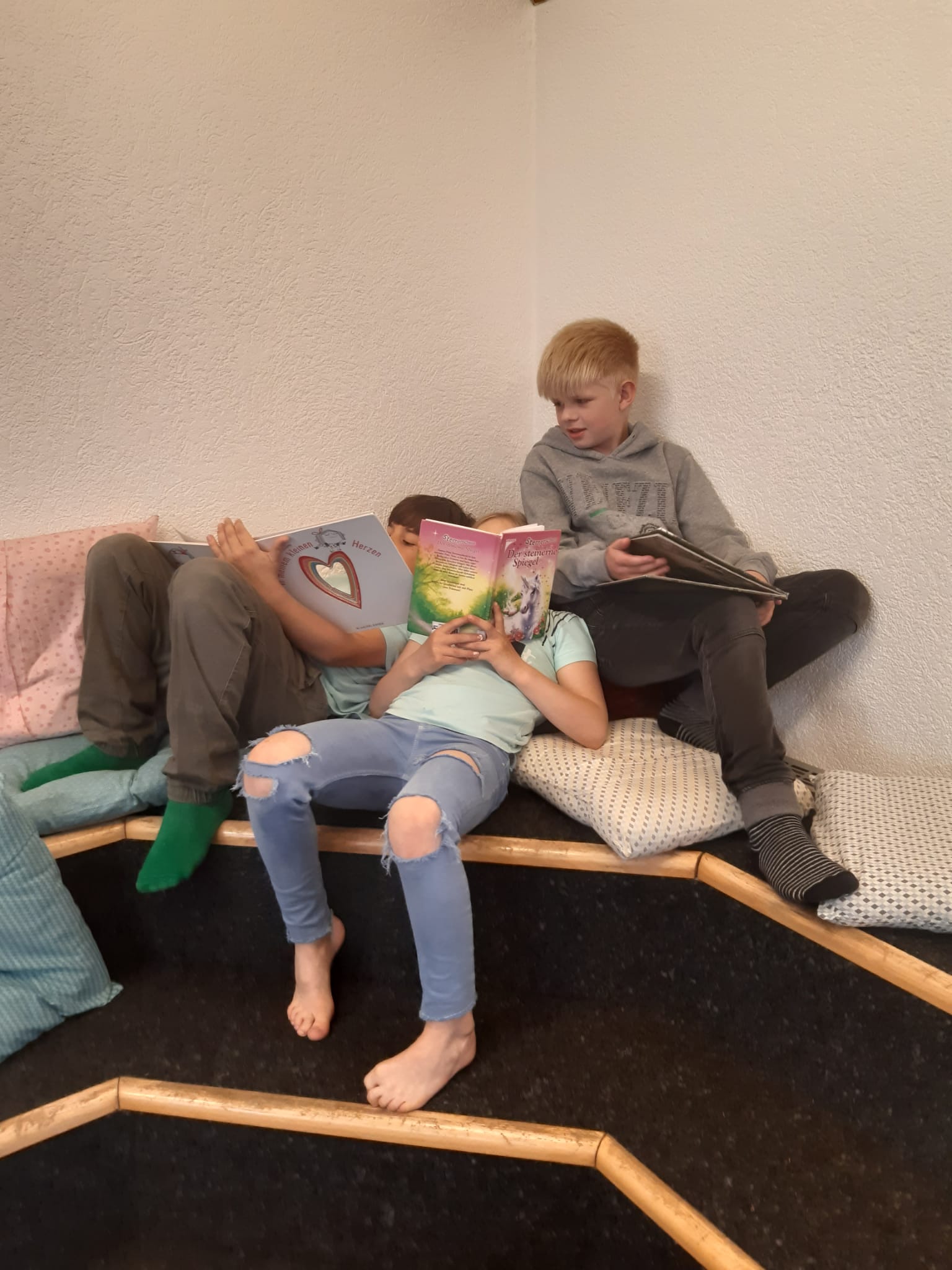 Leseprojekt Primarschule Holderbank