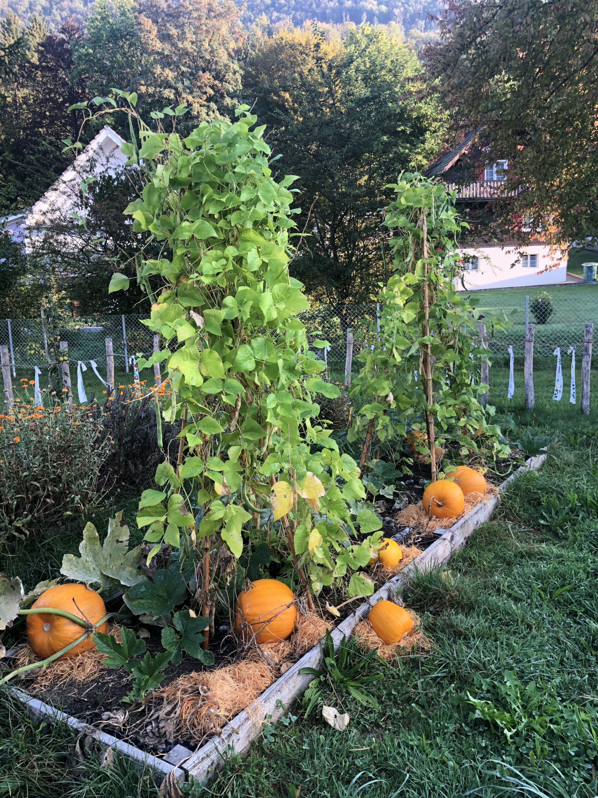 Gartenmorgen 1.-3. Klasse Primarschule Holderbank