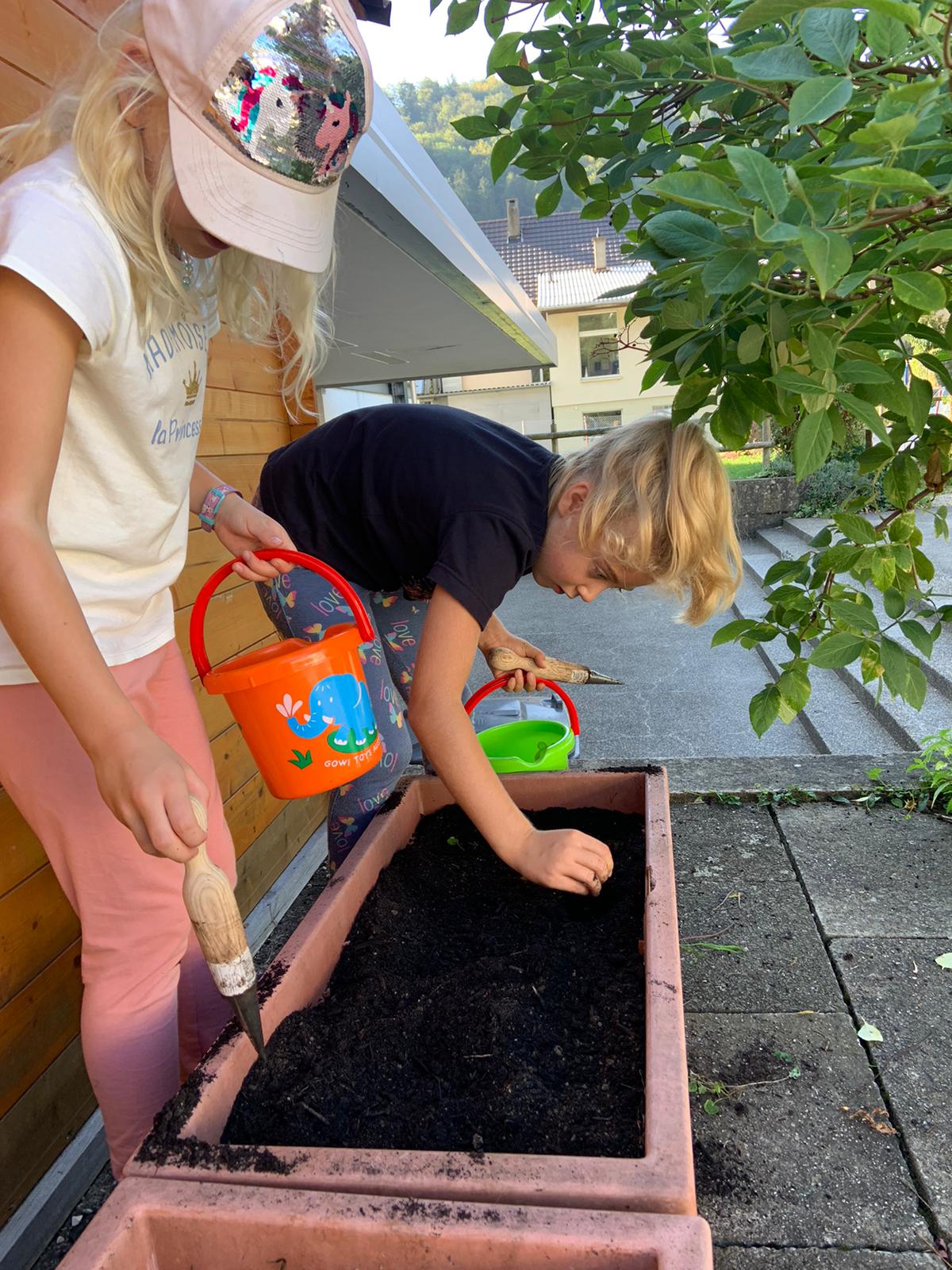 Gartenmorgen 1.-3. Klasse Primarschule Holderbank