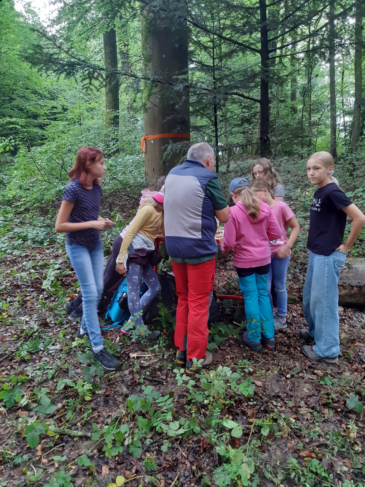 Waldtage Schule Holderbank